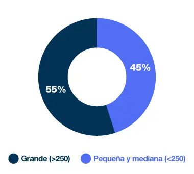 Gráfico circular sobre tamaño de empresa: 55% grande (>250 empleados), resto pequeña y mediana empresa.